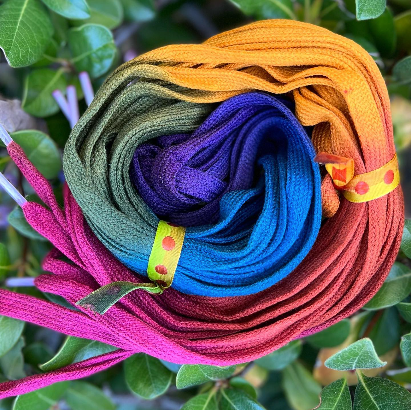 Noodles Laces for Roller Skates
